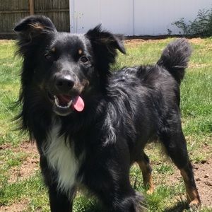 Meet your Posher, Miranda